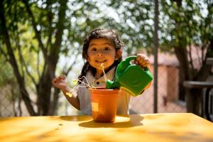 En el Nivel Preescolar contamos con el departamento de Psicología disponible para alumnos y padres de familia.